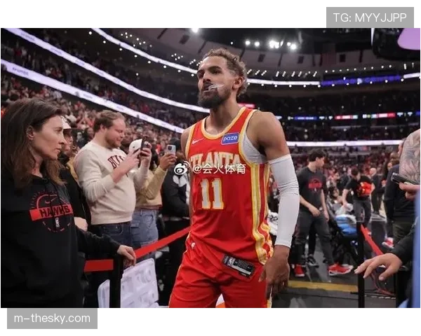 尼克斯老鹰续写恩怨，特雷·杨再战麦迪逊广场花园